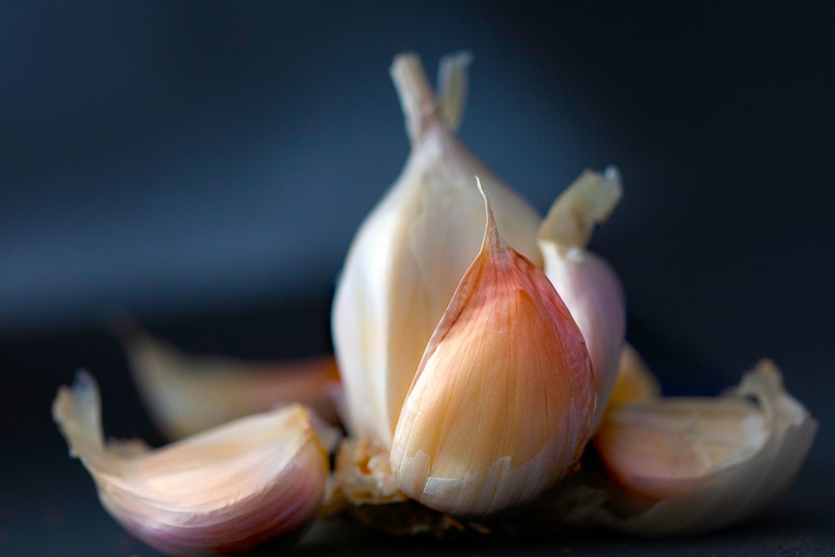 Historia Garlichoneyheritagetip